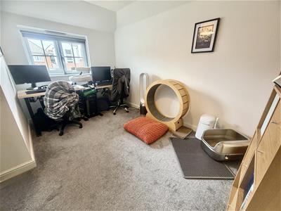 Picture 15